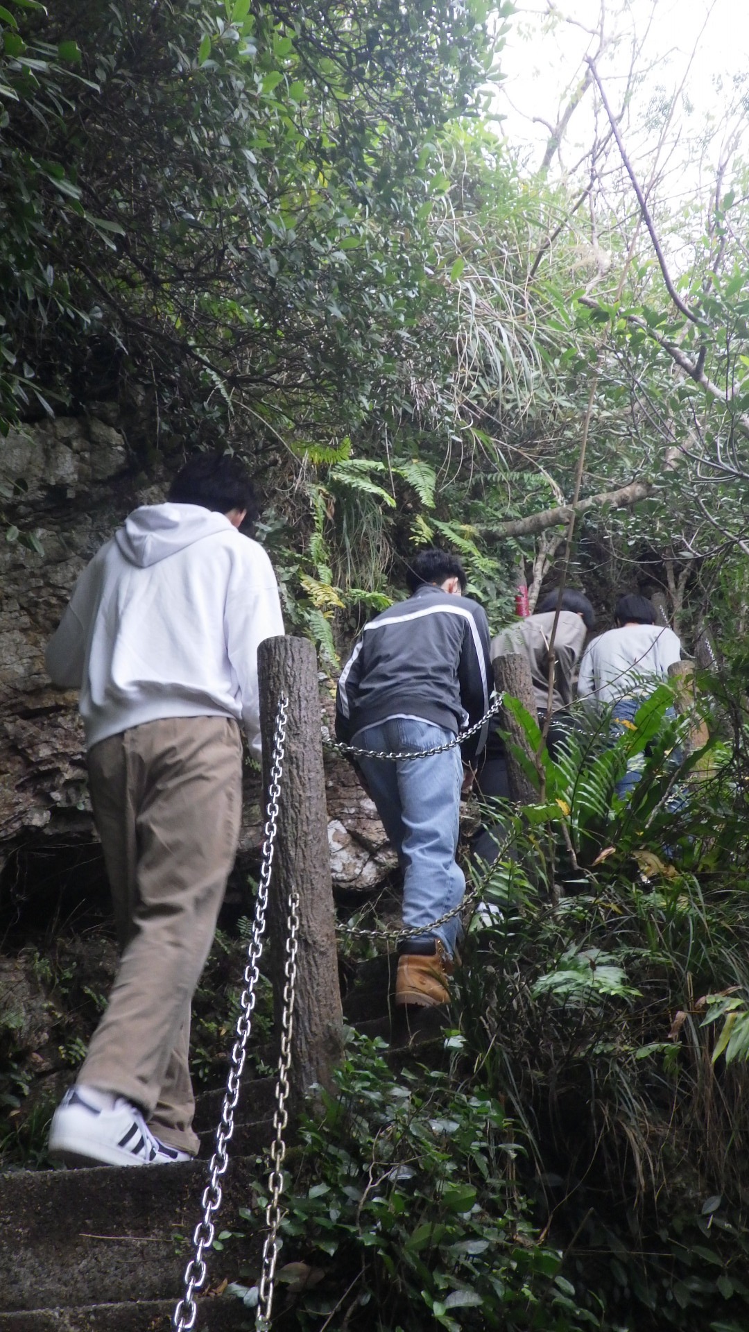 Image - 2026-02-11T162324.885